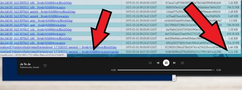 apki z androida na windows 11 2