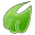 Midori