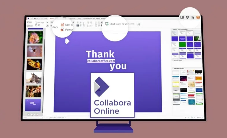 Collabora udowadnia, że pakiet biurowy może być estetyczny i bezpieczny