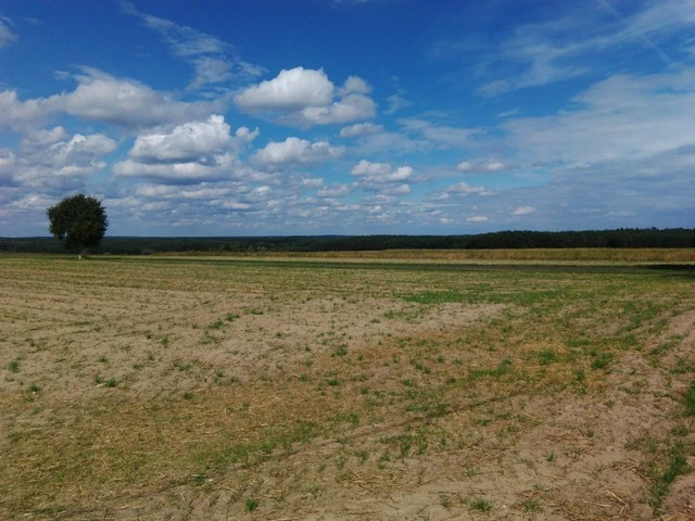 Goclever Quantum 600 - foto 03