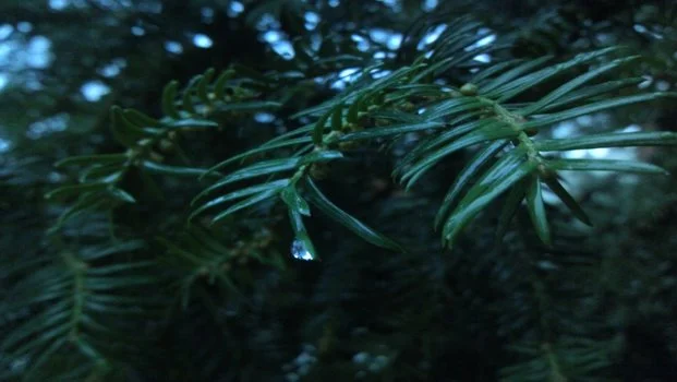 IMG 19820101 095713 1 Copy