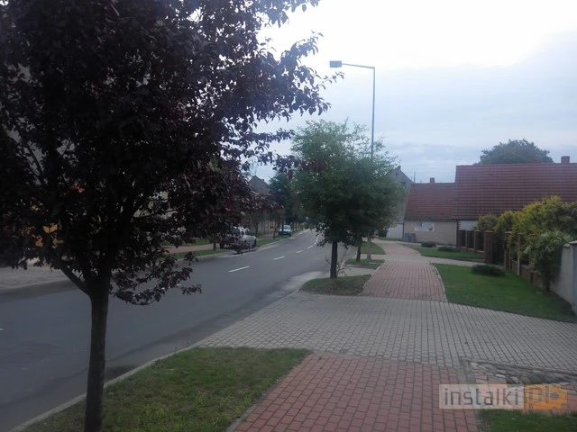 IMG 20140811 072930 Kopiowanie