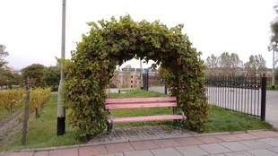 IMG 20141007 124846190 mini