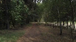 IMG 20150708 181349 mini