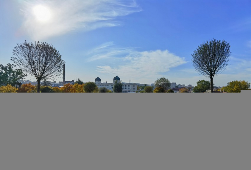 IMG 20201022 134047 mini