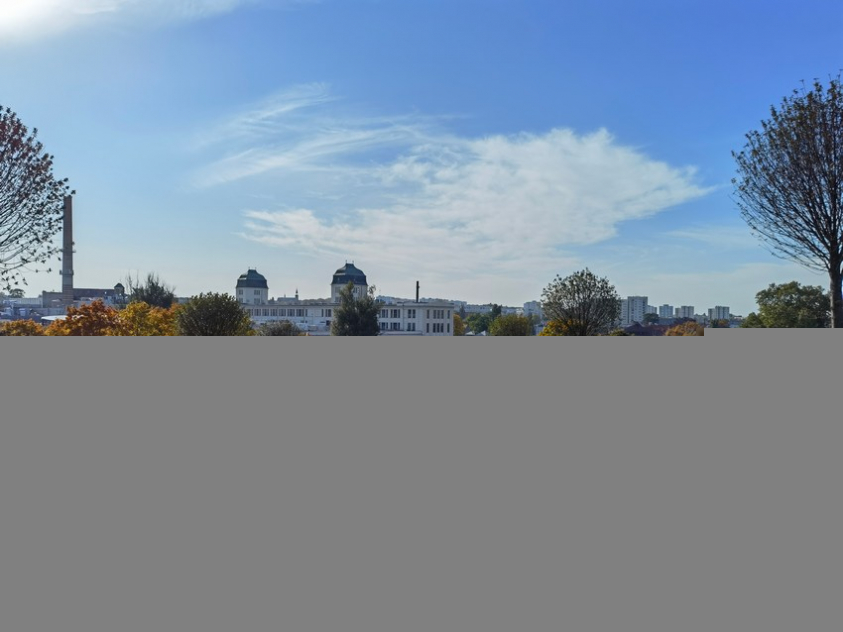 IMG 20201022 134050 mini