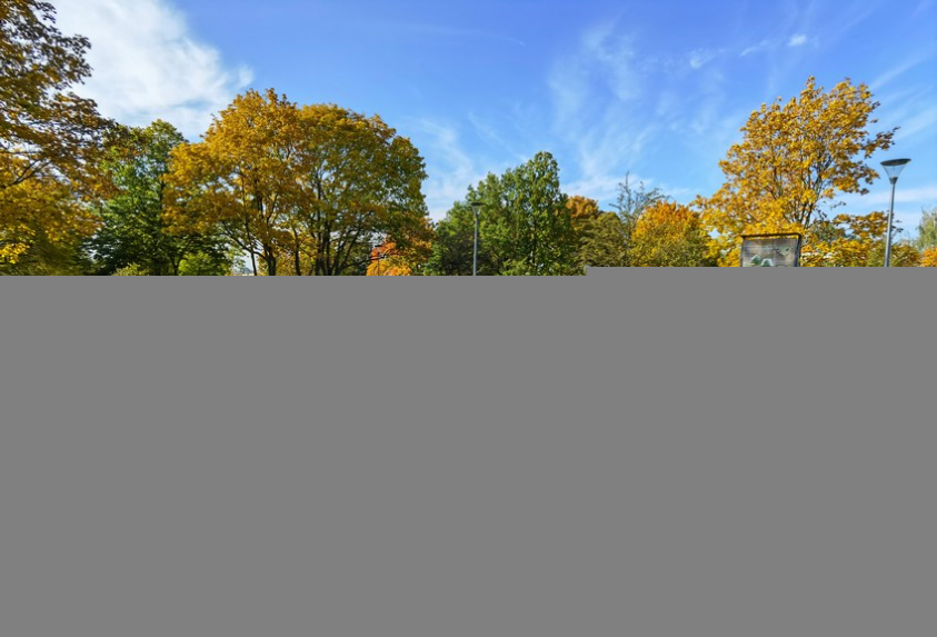 IMG 20201022 134729 mini