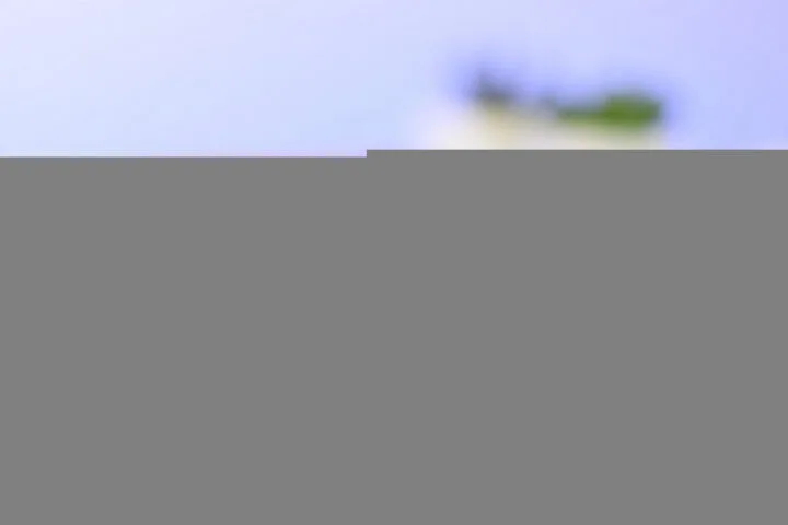 Xiaomi światowym liderem rynku opasek sportowych