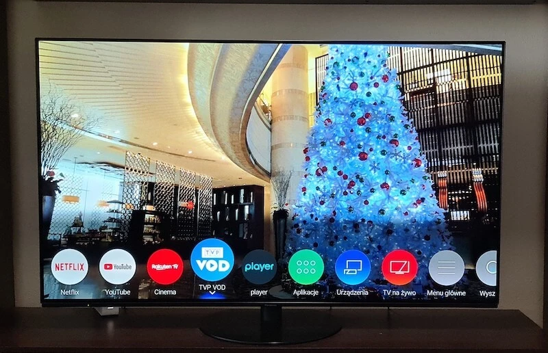 Panasonic_OLED_HZ1000E