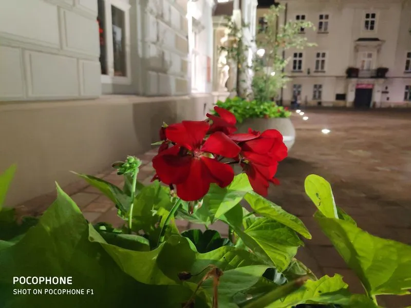 Pocophone F1 sample 3