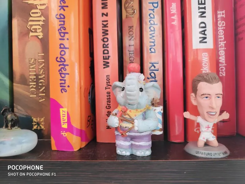 Pocophone F1 sample 5