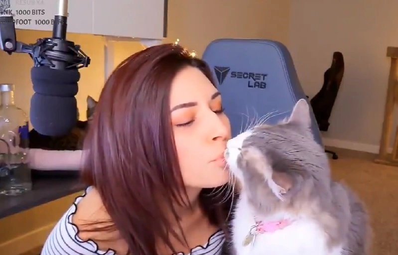 Streamerka rzuciła swoim kotem, wcześniej poiła go wódką – internauci wściekli
