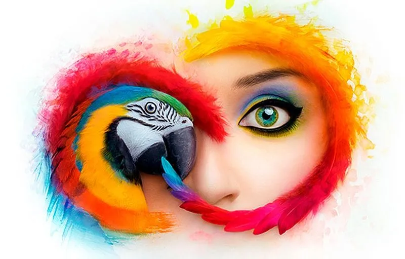 Adobe anuluje subskrypcje usług użytkownikom z całego kraju i nie zwróci pieniędzy