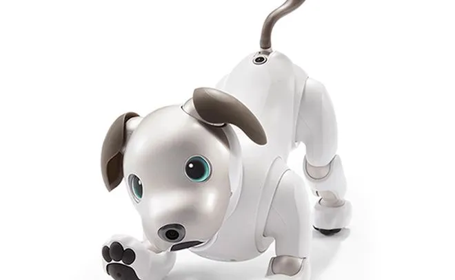Sony z nowym „pieskiem” – powraca kultowy Aibo!