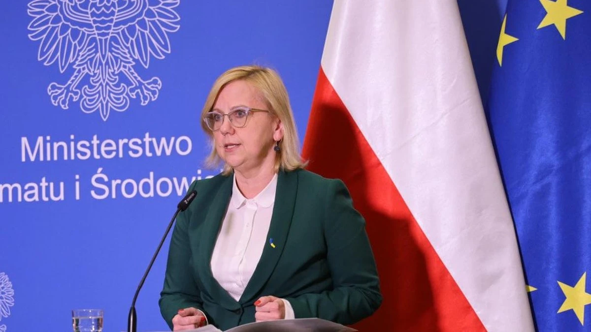 Zakaz rejestracji samochodów spalinowych w Polsce. Rząd przemówił