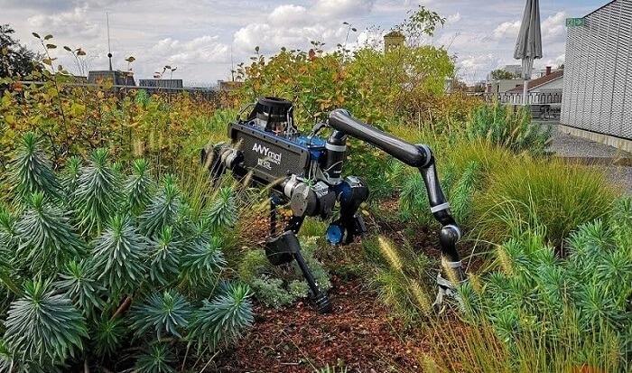 Ten robot otworzy drzwi, wyrzuci śmieci i pomoże Ci przenieść skrzynkę