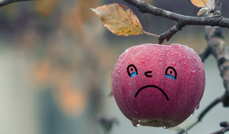 Kolejny raz konkurencja naśmiewa się z Apple