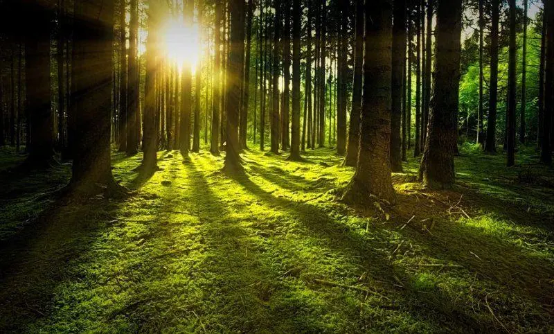 Energia elektryczna z cienia? Powstało prototypowe urządzenie