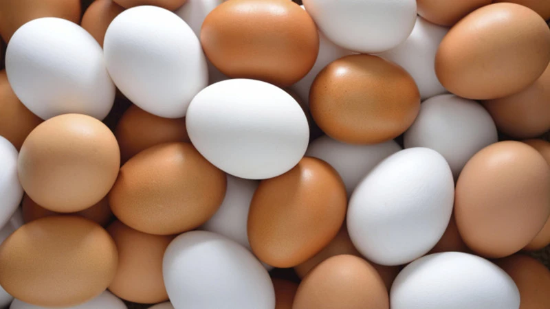 Jak myślicie, które zdjęcie na Instagramie ma więcej polubień? Post Kylie Jenner czy ujęcie jajka?