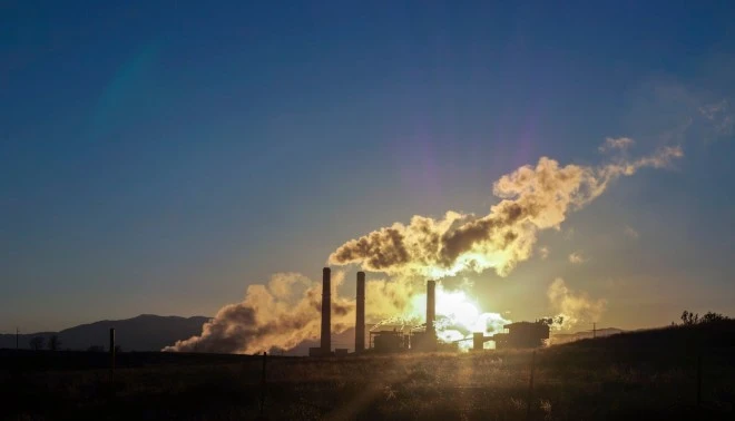 Elon Musk oferuje 100 milionów USD za najlepszy pomysł. O co chodzi?