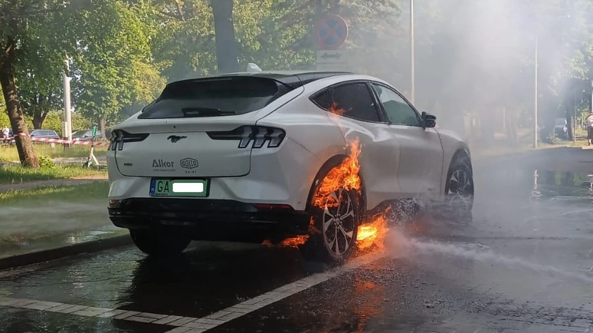 Pożar elektryka w Gdańsku. Zaskakujący czas akcji gaśniczej