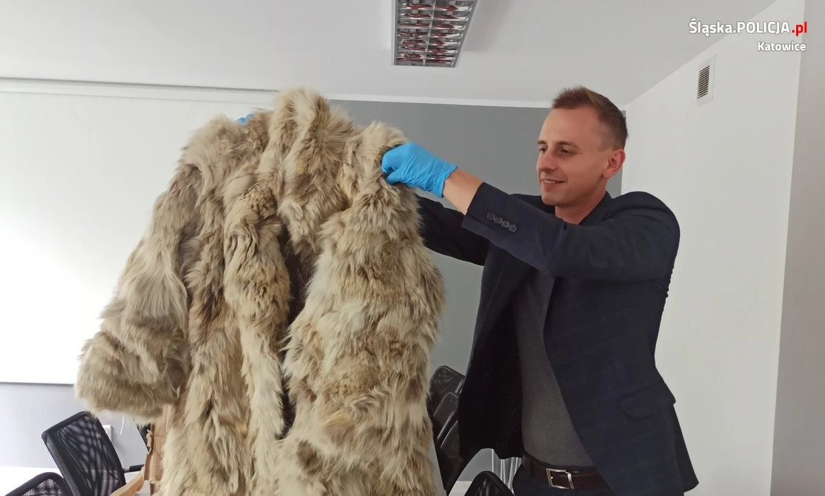 Wystawił na Allegro futro teściowej. Zatrzymała go policja