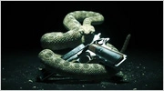 Hitman Absolution – oficjalna zapowiedź