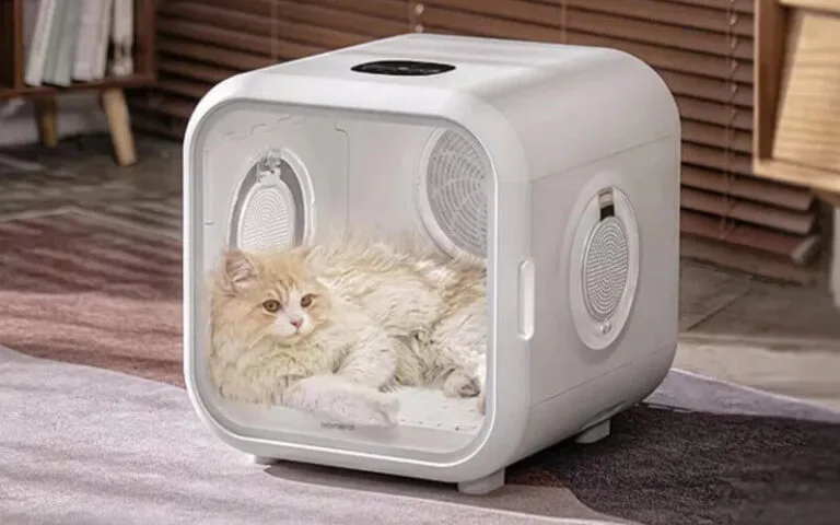 Elektronika w służbie mycia kotów. Homern PD50 świetnym gadżetem dla pupili