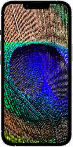 iPhone 13 może otrzymać lubianą funkcję z Apple Watch