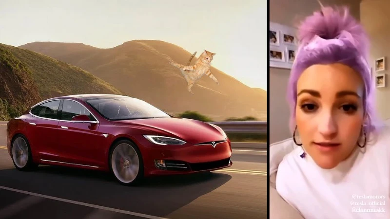 Celebrytka oskarża Elona Muska i nazywa Teslę „cichym zabójcą kotów”