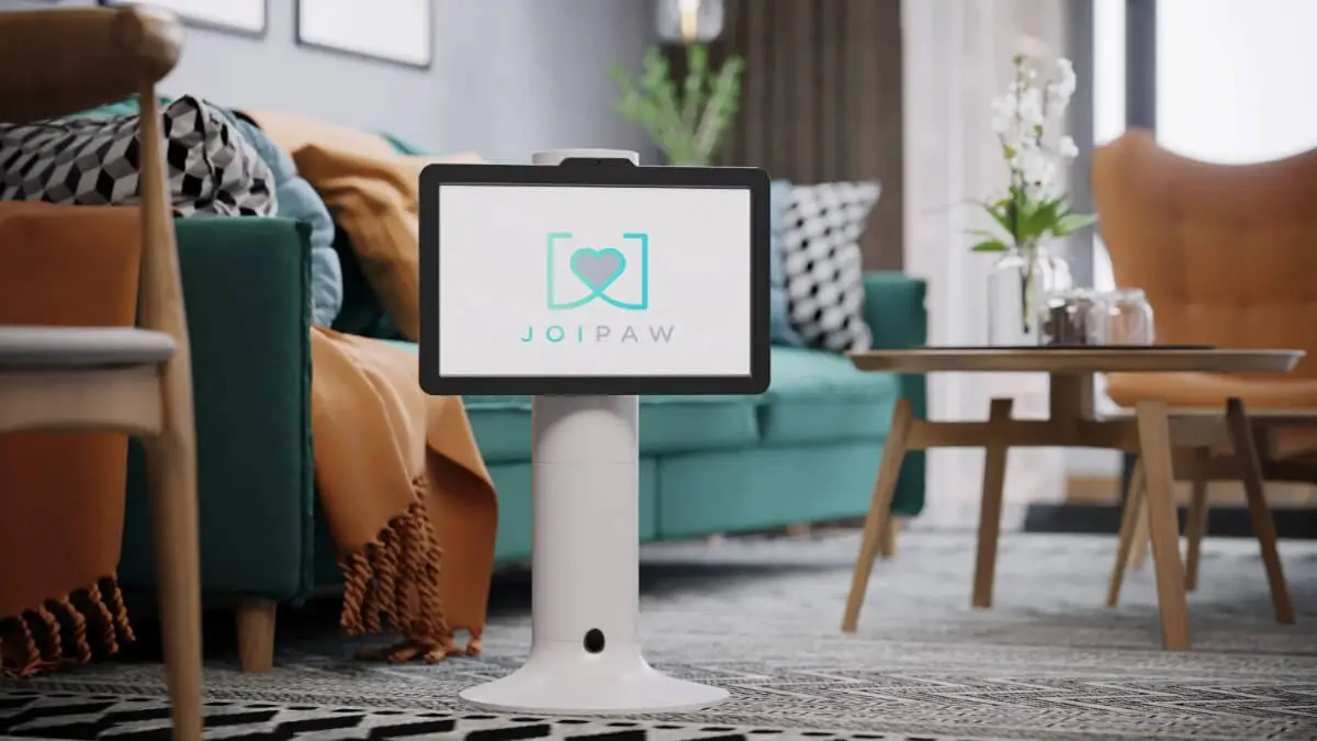 Psy otrzymają własną konsolę do gier. Ma spowolnić starzenie się mózgu