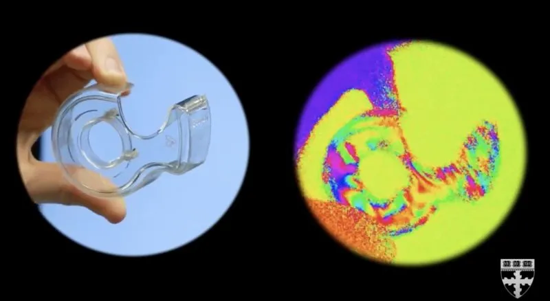 Ta kamera pozwala spojrzeć na świat oczami krewetki – zobaczcie sami