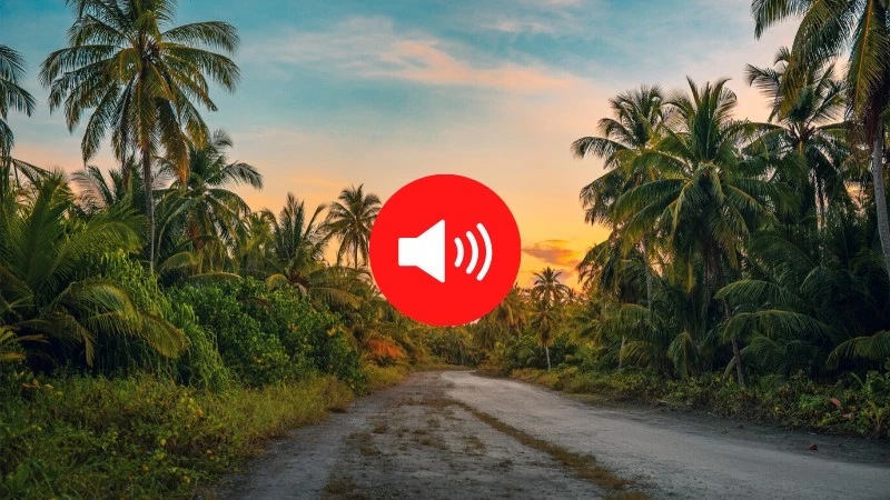 Dzięki tej stronie posłuchasz dźwięków natury z wielu zakątków świata