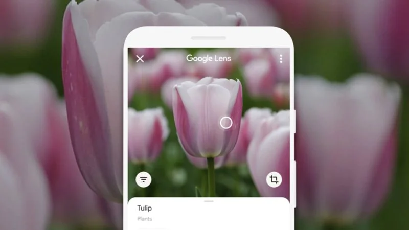 Obiektyw Google Lens będzie można uruchomić z kolejnego miejsca