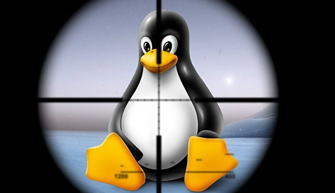 Odkryto poważną lukę w Linuksie. Problem dotyczy też Androida