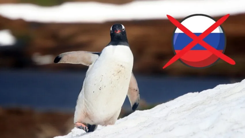 Canonical kończy współpracę z rosyjskimi przedsiębiorstwami. Chodzi także o Ubuntu