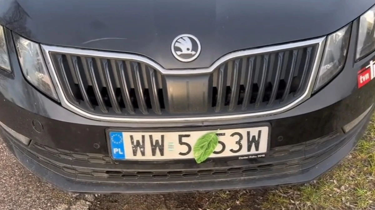 Ten liść na magnes ma pomóc uniknąć mandatu. Robi furorę, ale…