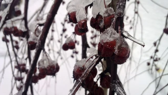 Lumia 820 przykładowe zdjęcie