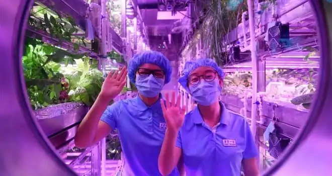 Jak się żyje na innej planecie? Chiny rozpoczęły 200-dniową symulację