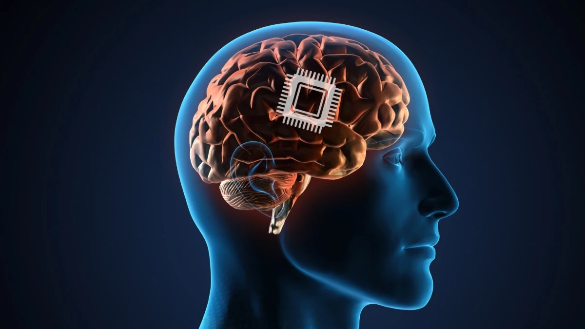 Opracowano protezę dla mózgu, która poprawia pamięć