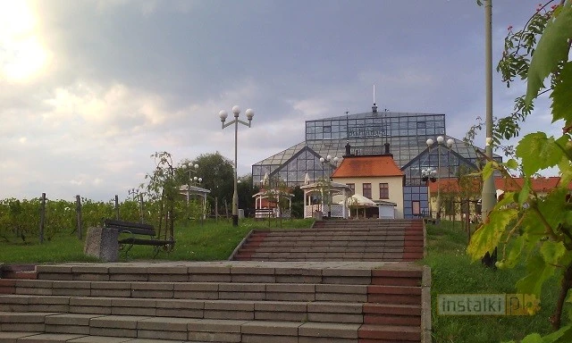 myphone c-smart foto 2