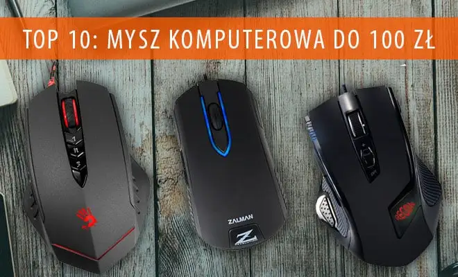 Jaka myszka do 100 zł? TOP 10 polecanych modeli