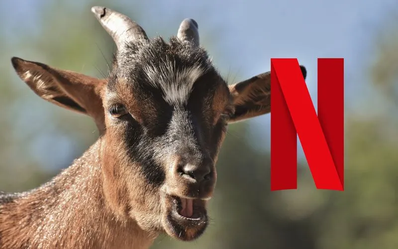 Słynny dźwięk powitalny Netflixa mógł brzmieć zgoła inaczej