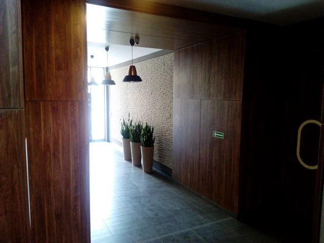 Honor Holly - przykładowe zdjęcie