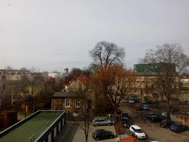 Honor Holly - przykładowe zdjęcie