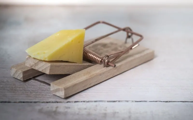 Phishing to istna plaga. Prawie co czwarta firma pada ofiarą tego oszustwa