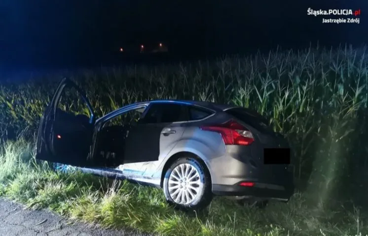 Pijany kierowca wpadł do rowu. Na Polaka doniósł jego własny samochód