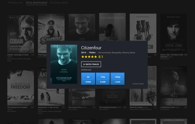 Powstała strona z torrentami, której nie można namierzyć