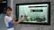 Przezroczyste ekrany LCD już w produkcji