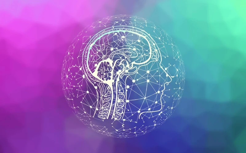 Nowa sztuczna inteligencja tłumaczy fale mózgowe na tekst z zaskakującą dokładnością